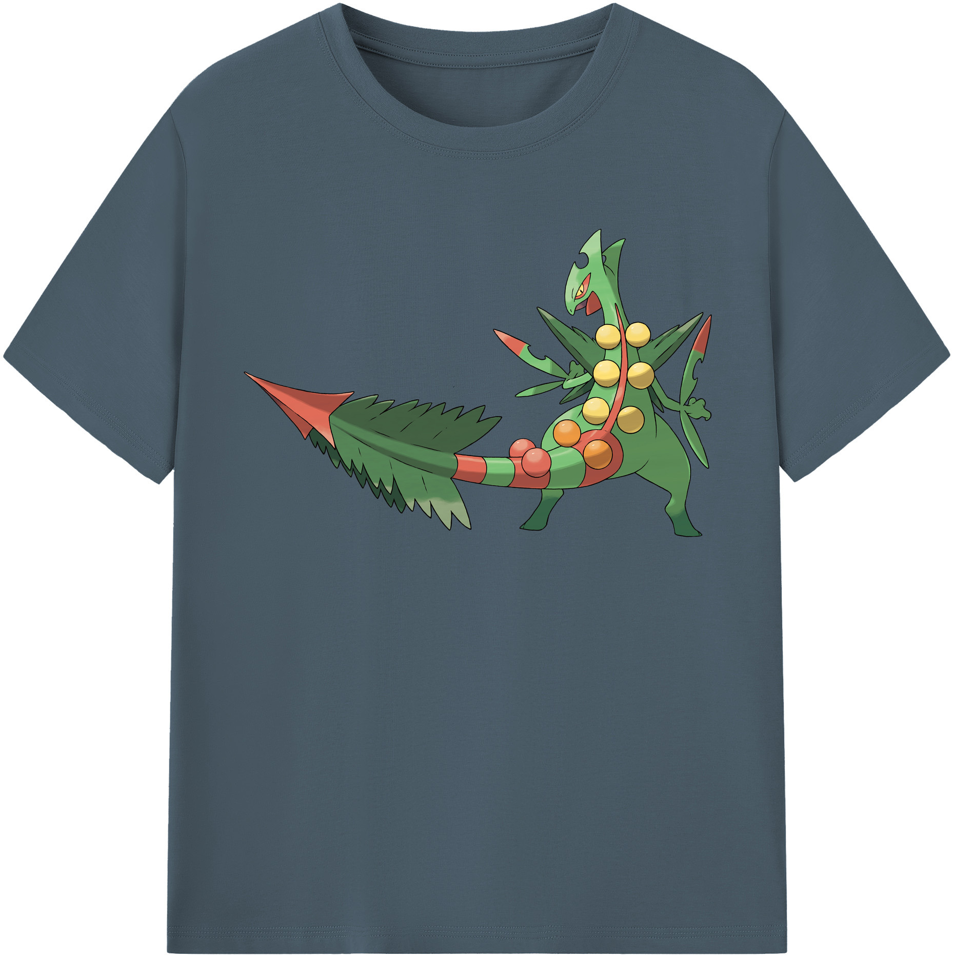 （画像用） ポケットモンスター Pokémon 綿100％半袖Tシャツ（フロントプリント）